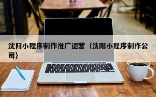 沈阳小程序制作推广运营（沈阳小程序制作公司）