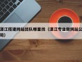 湛江搭建网站团队哪里找（湛江专业做网站公司）