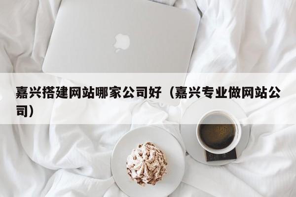 嘉兴搭建网站哪家公司好(嘉兴专业做网站公司)